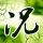 文明之旅